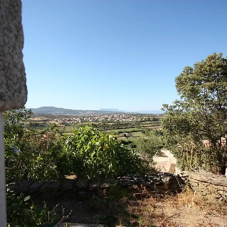 Daire Casa Smeralda